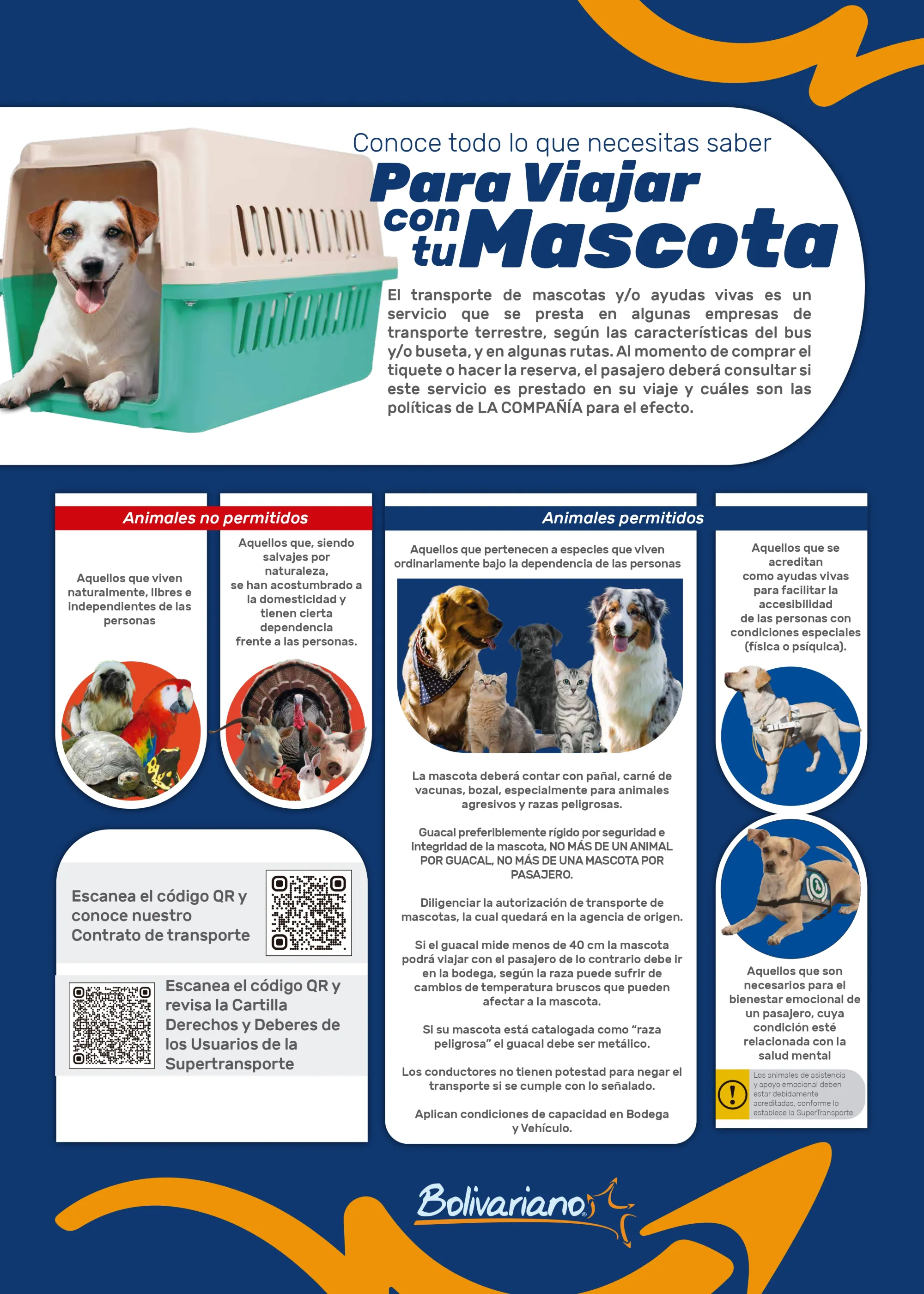 imagen de información de transporte de mascotas